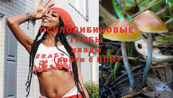 круглые Алексеевка