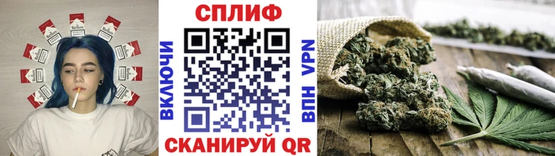 даркнет сайт  Котлас  Марихуана SATIVA & INDICA 